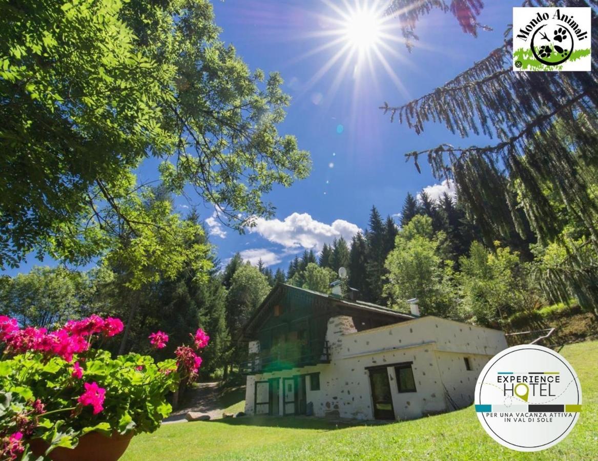 La Locanda Delle Pulci Bio Welness Mezzana  Dış mekan fotoğraf